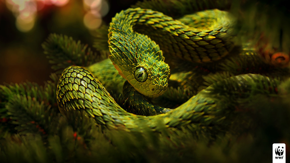 Christmas Snake By Glazyrin