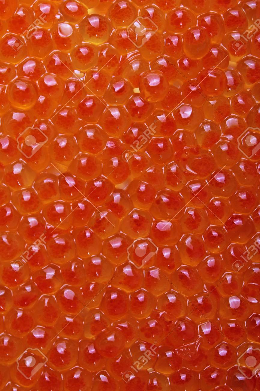 Free download Red Caviar Studio Photo Caviar Texture Pattern Background