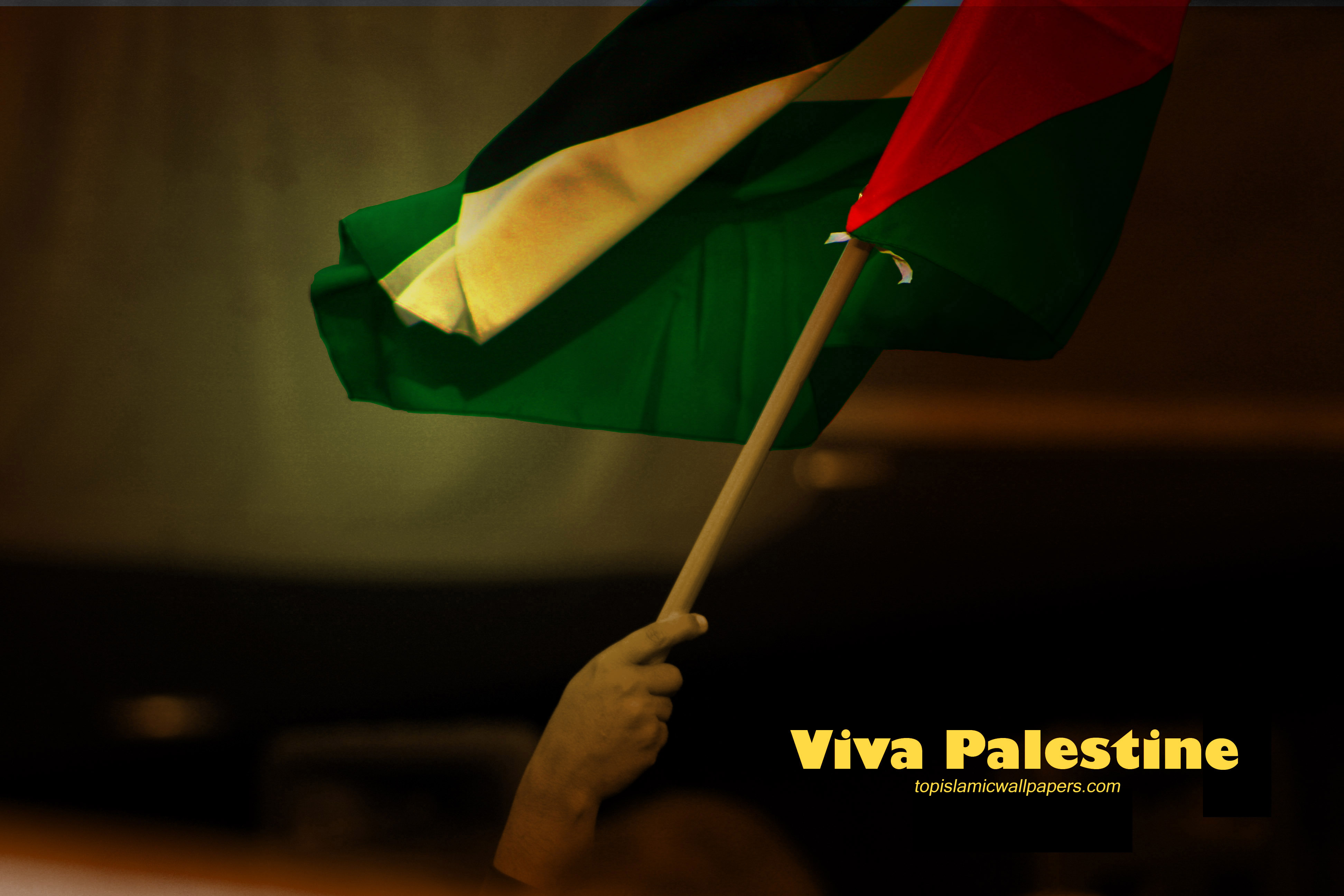 Viva Palestine Wallpaper Top Islamic