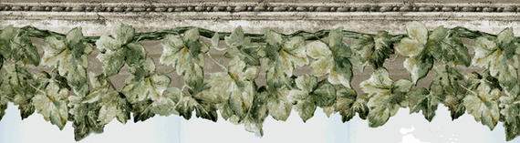 Free download 131253 Ivy Vine Wallpaper Border [570x157] for your