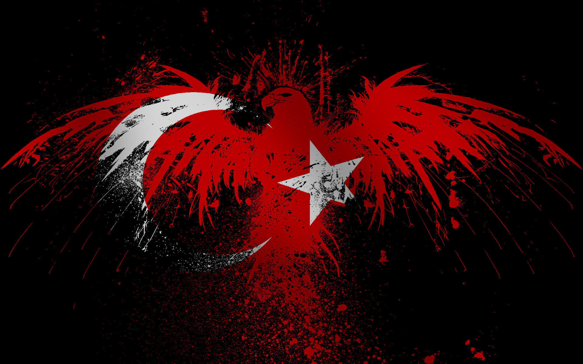 Eagles flags turkey wallpaper background