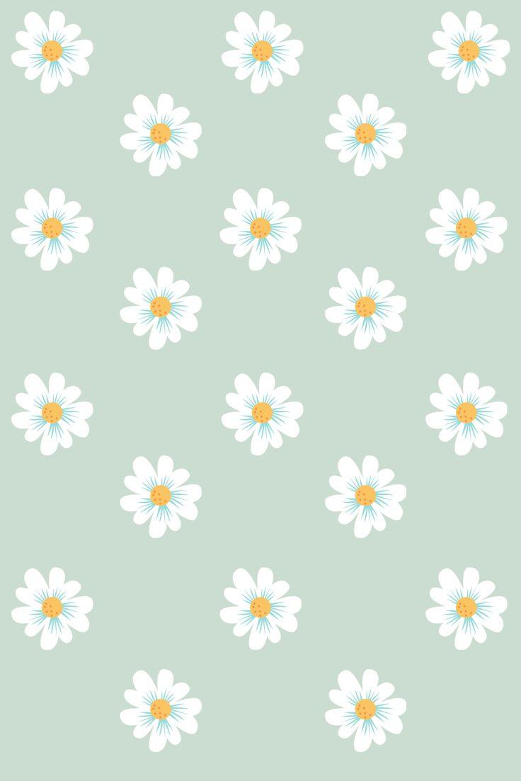 Premium Vector  Cute delicate pink pastel daisy pattern seamless