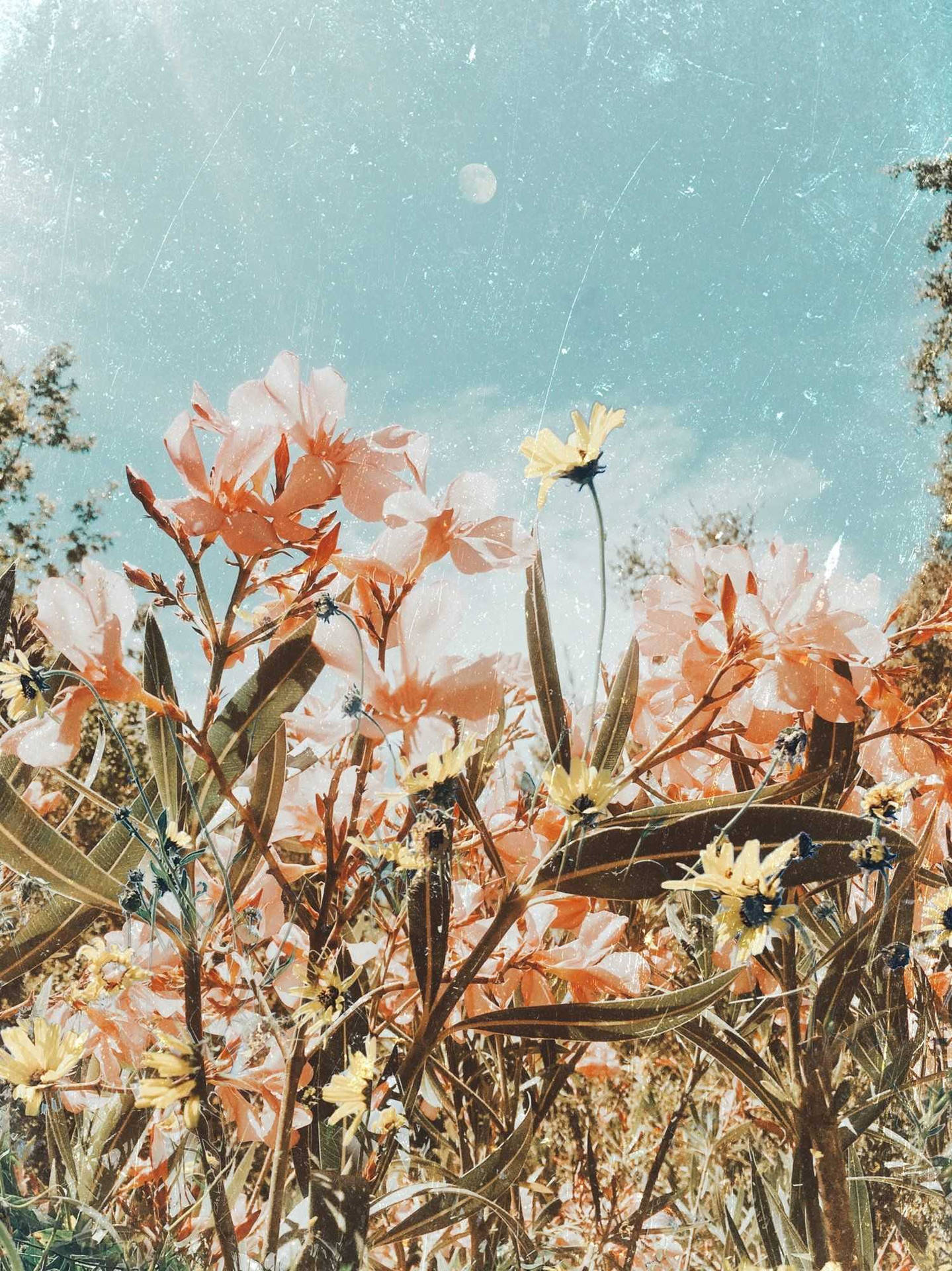 Aesthetic Vintage Ipad Wallpaper