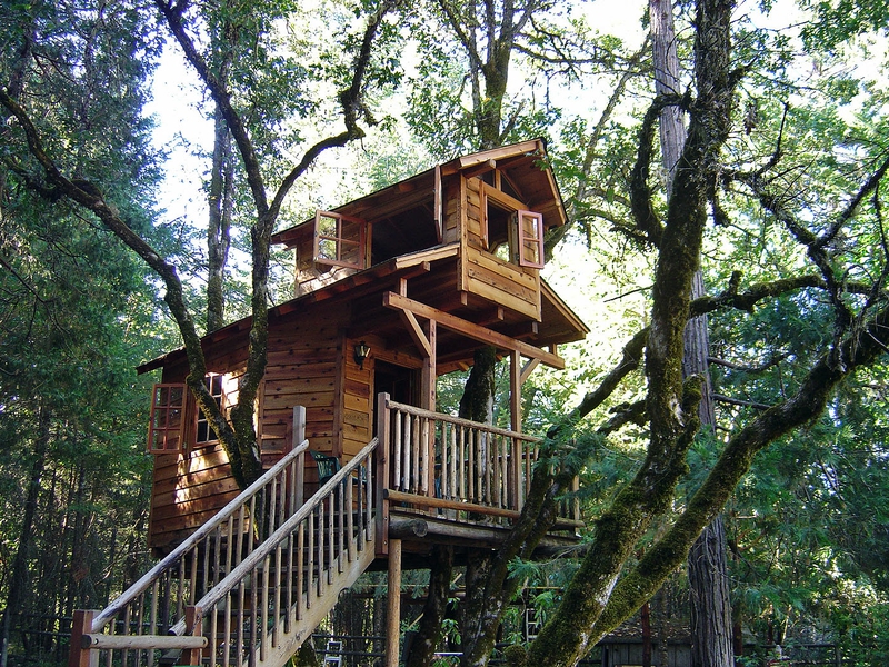 Forest Porch Treehouse Architecture Other HD Desktop Wallpaper