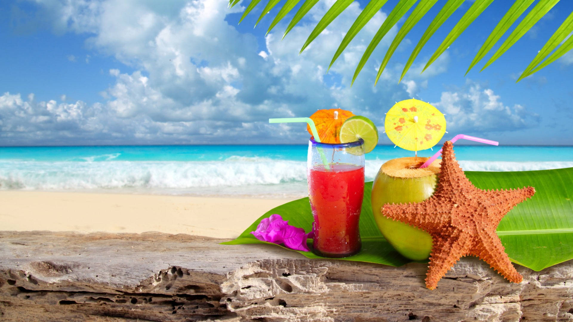Tropical Cocktails Wallpaper