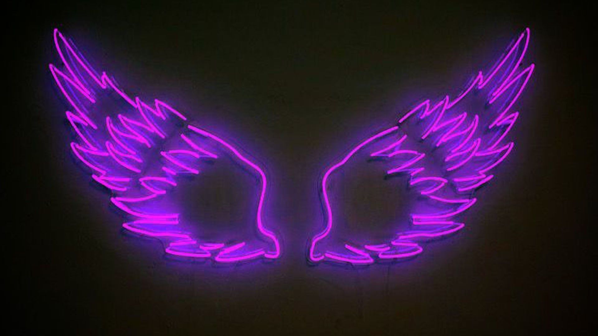 Purple Aesthetic Neon Lights Wings Black Background By Hibernooo Wallpaper
