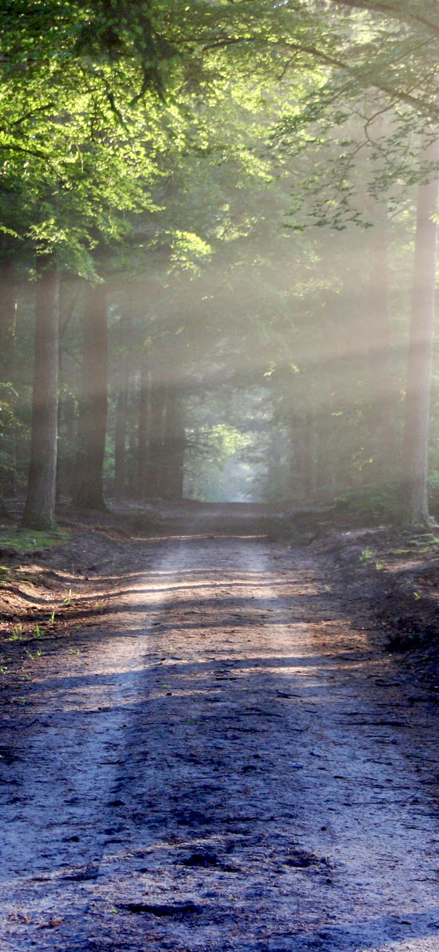 Take A Break Outside And Admire Nature Wallpaper