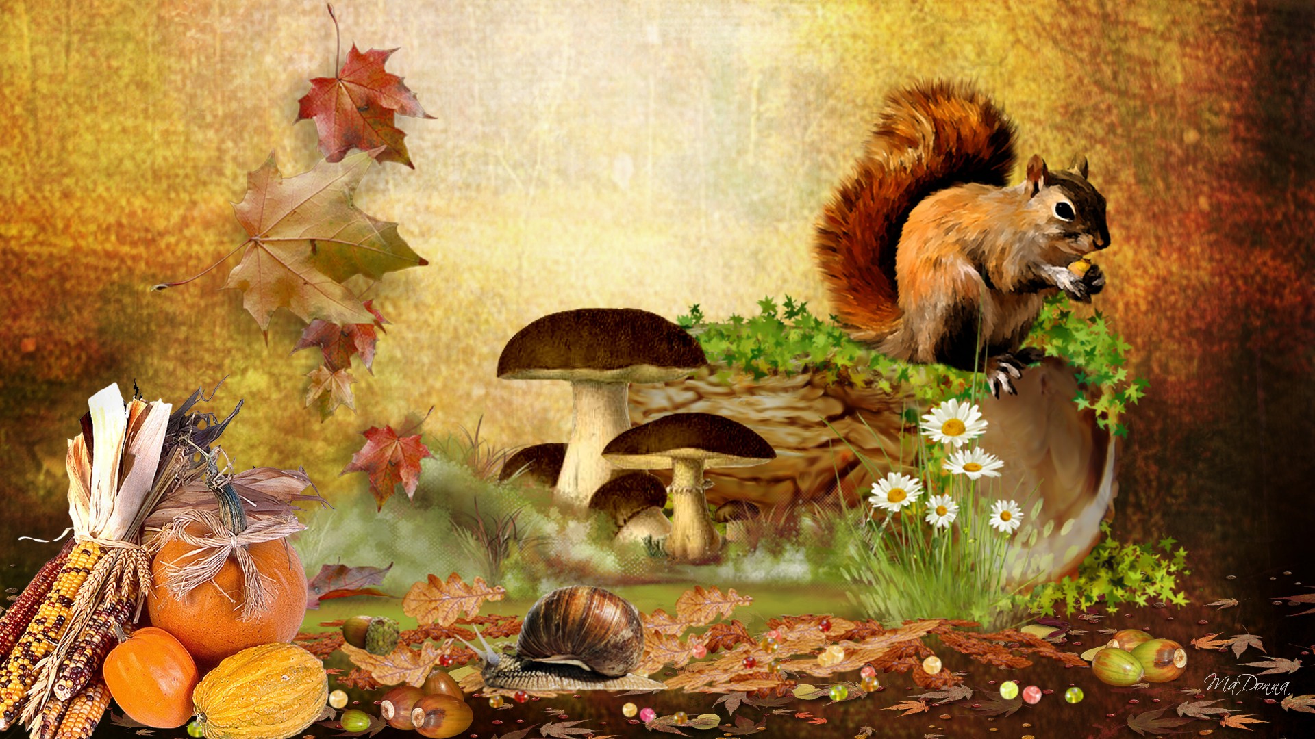 Fall Animal Wallpaper With HD Desktop Autumn