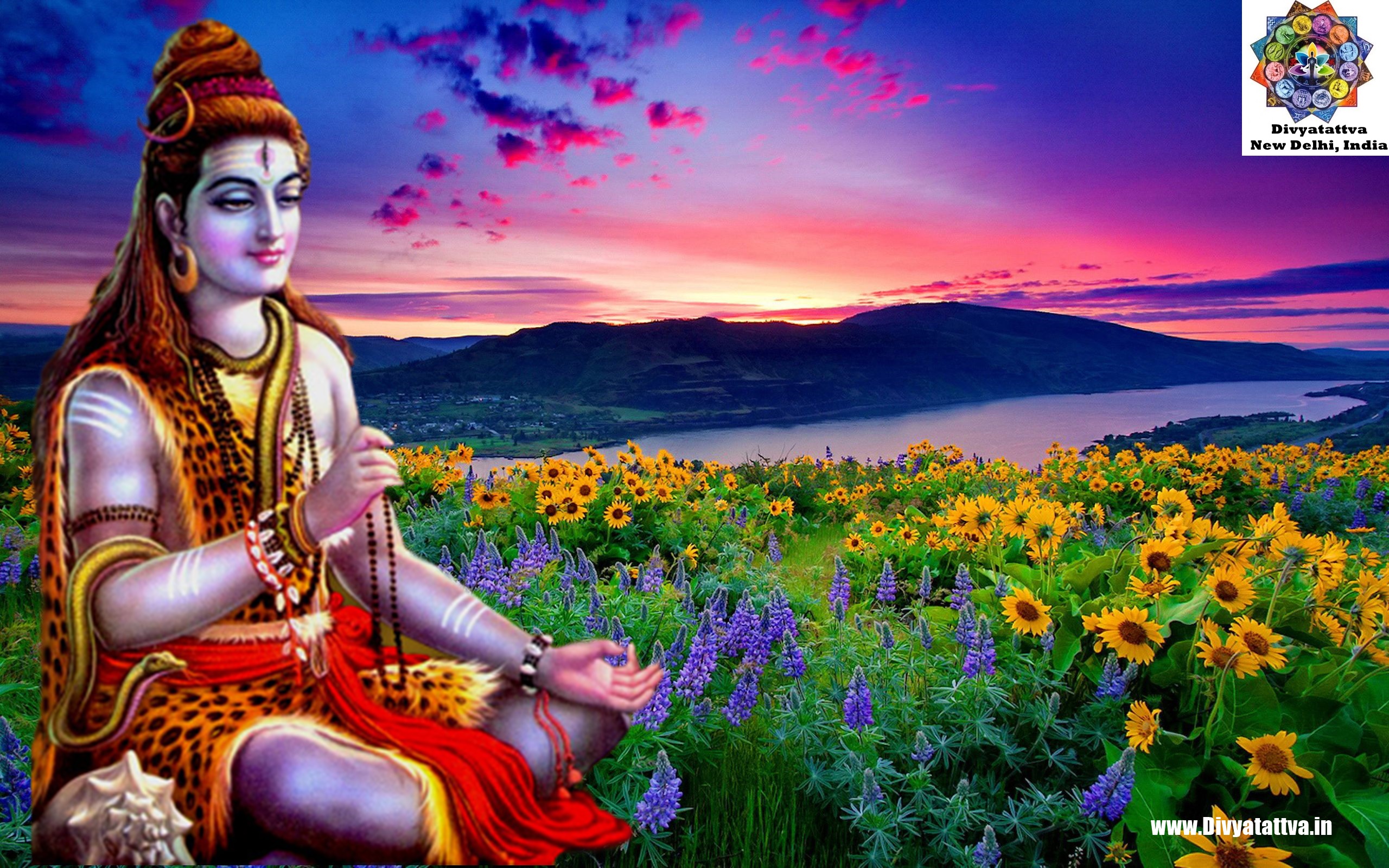 Lord Shiva HD Siva Meditation Wallpaper Hindu God Mahadev In Samadhi