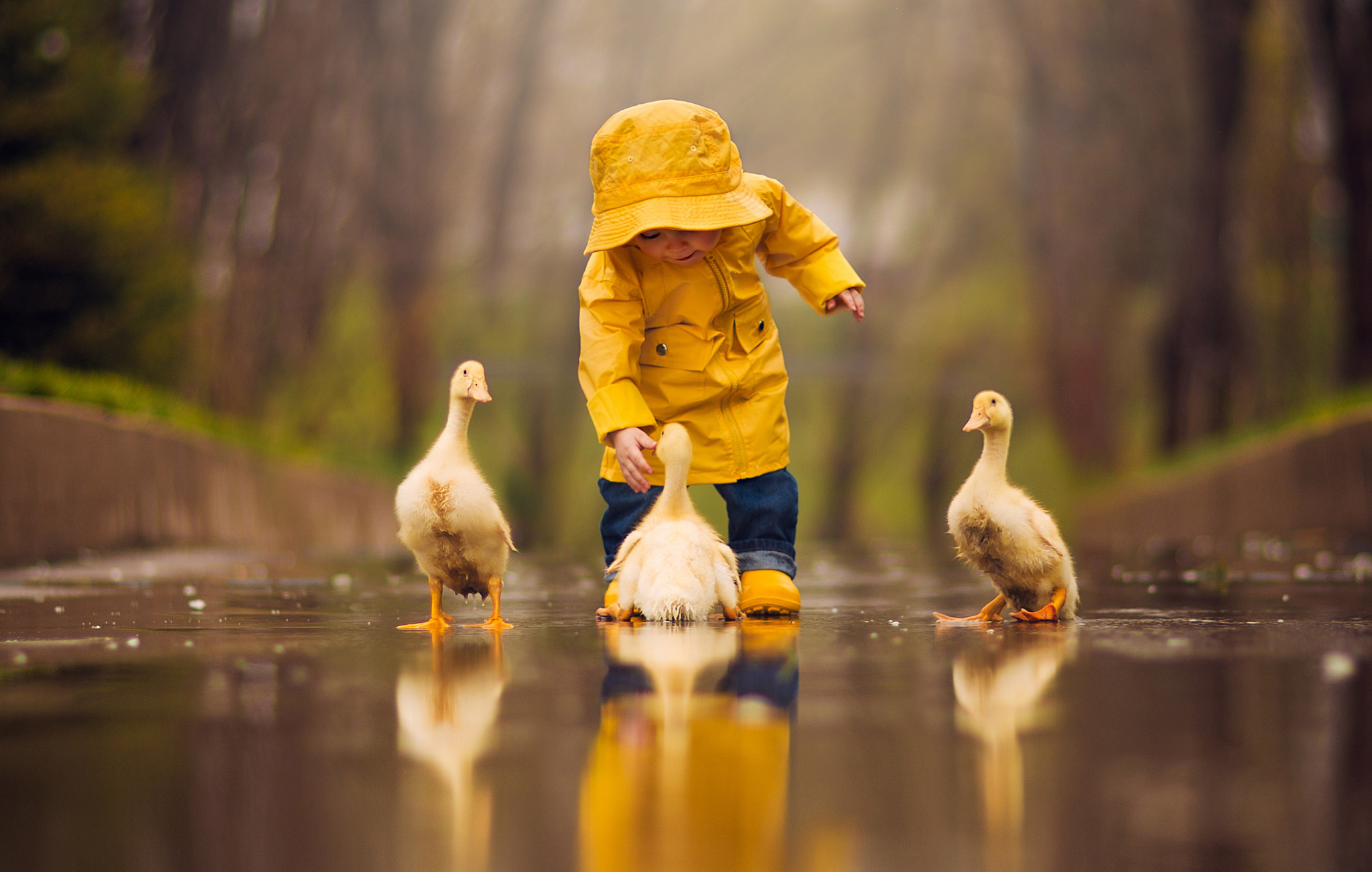 Cute Reflections Wallpaper