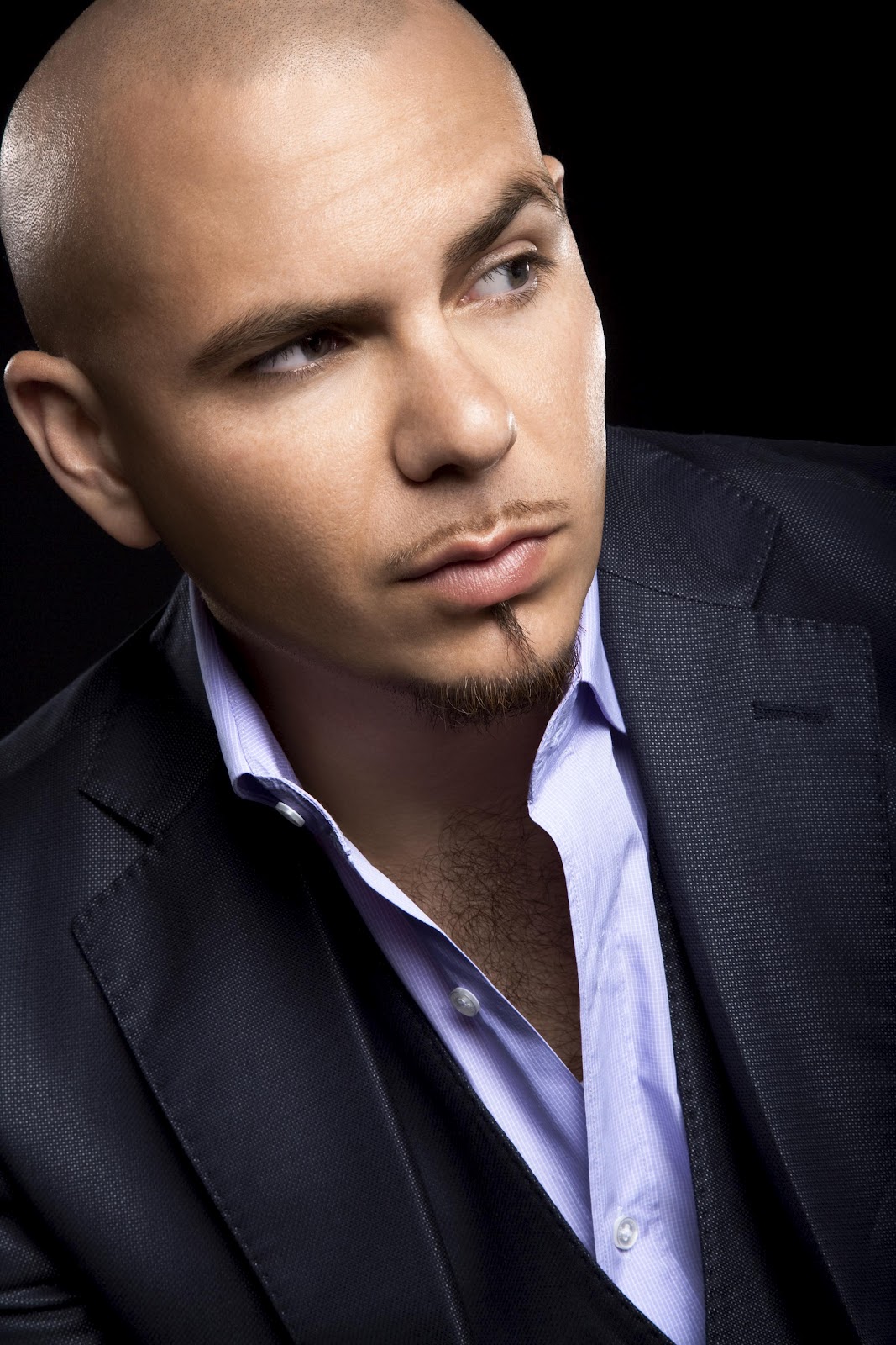 Pitbull Singer submited images
