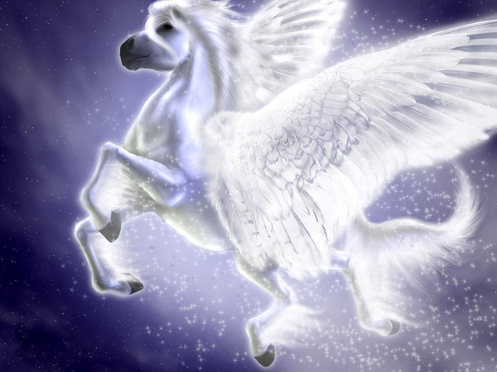 Pegasus Unicorn Fantasy Animals Wallpaper