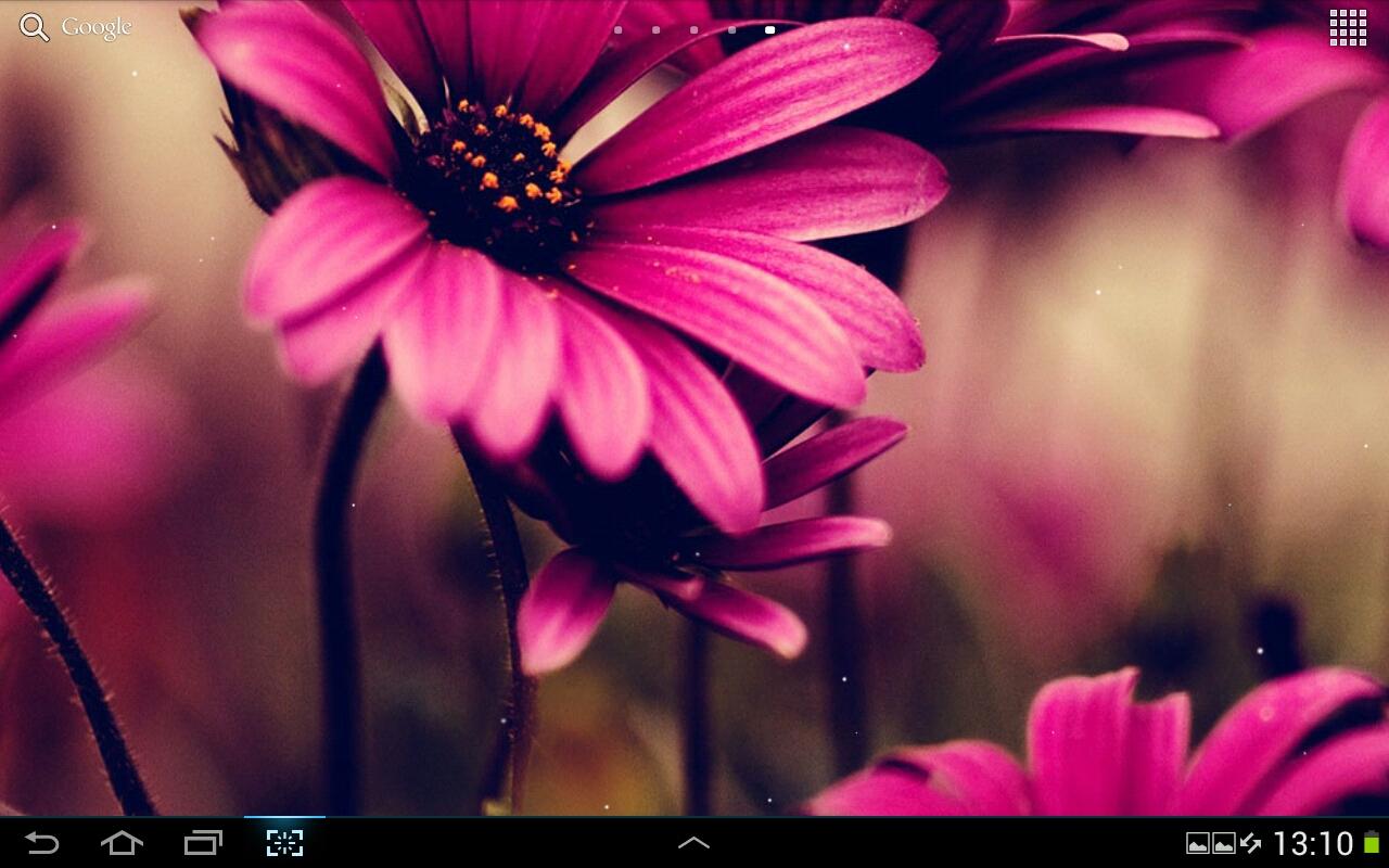 Pink Live Wallpaper For Pc At Yolanda Johnson Blog