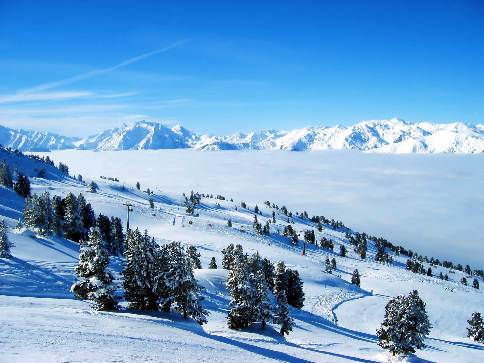 Winter Background