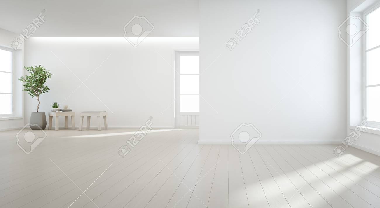 Indoor Plant On Wooden Floor With White Wall Background In Large