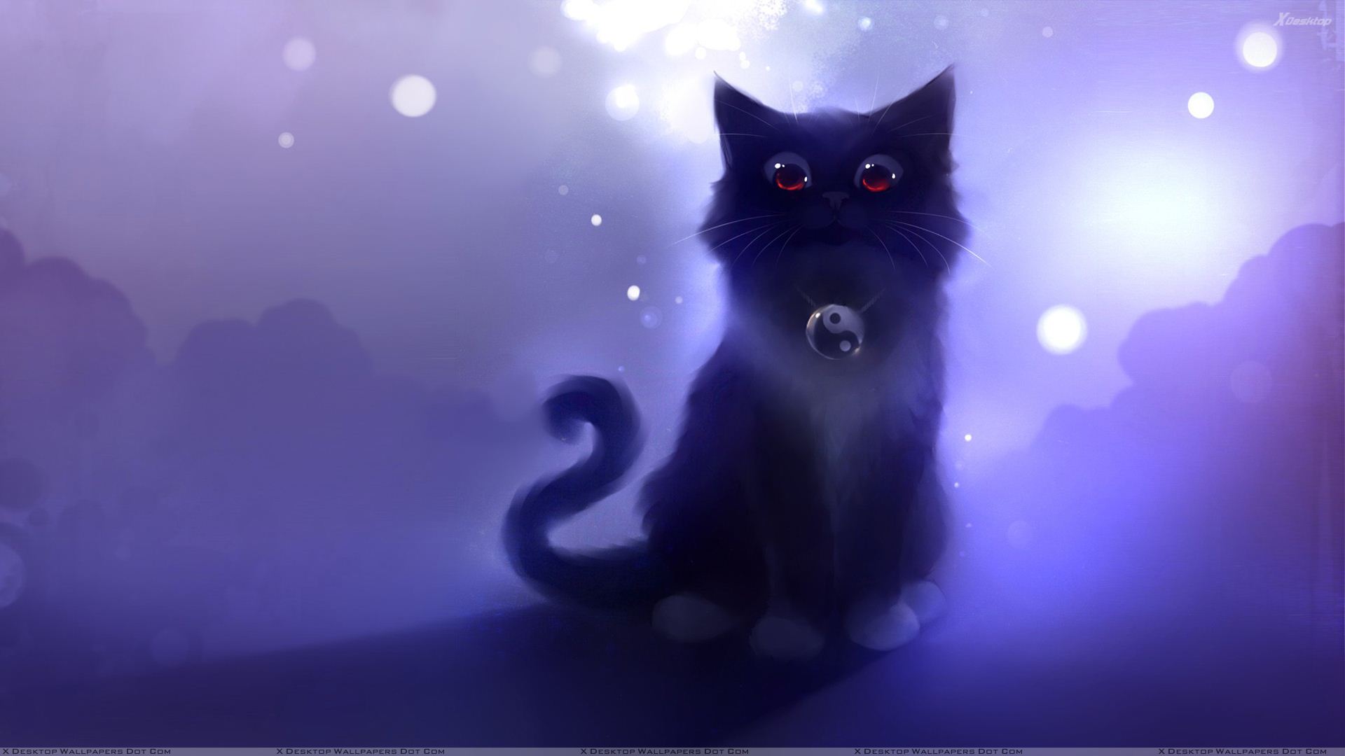Black Cats Wallpapers Photos Images in HD