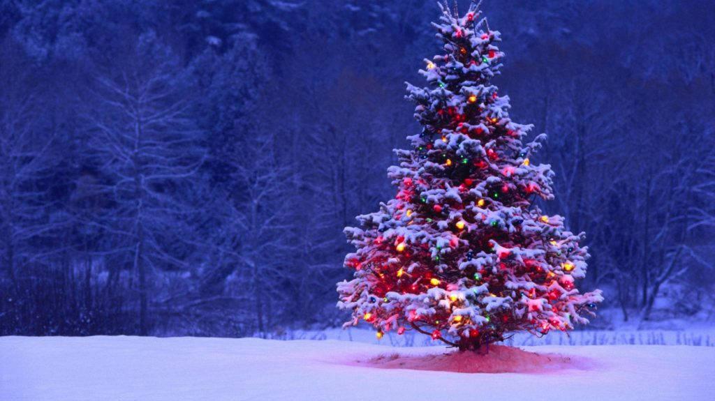 Christmas Holiday Desktop Tree In Snow Wallpaper