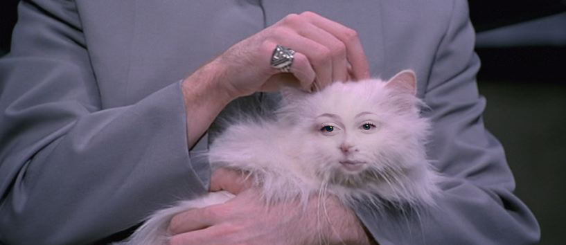 Dr Evil Wallpaper S Pussy Cat By
