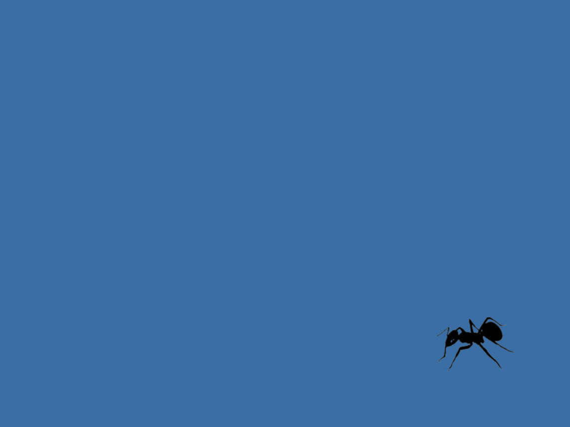 Basic Anticon Wallpaper By Chowder