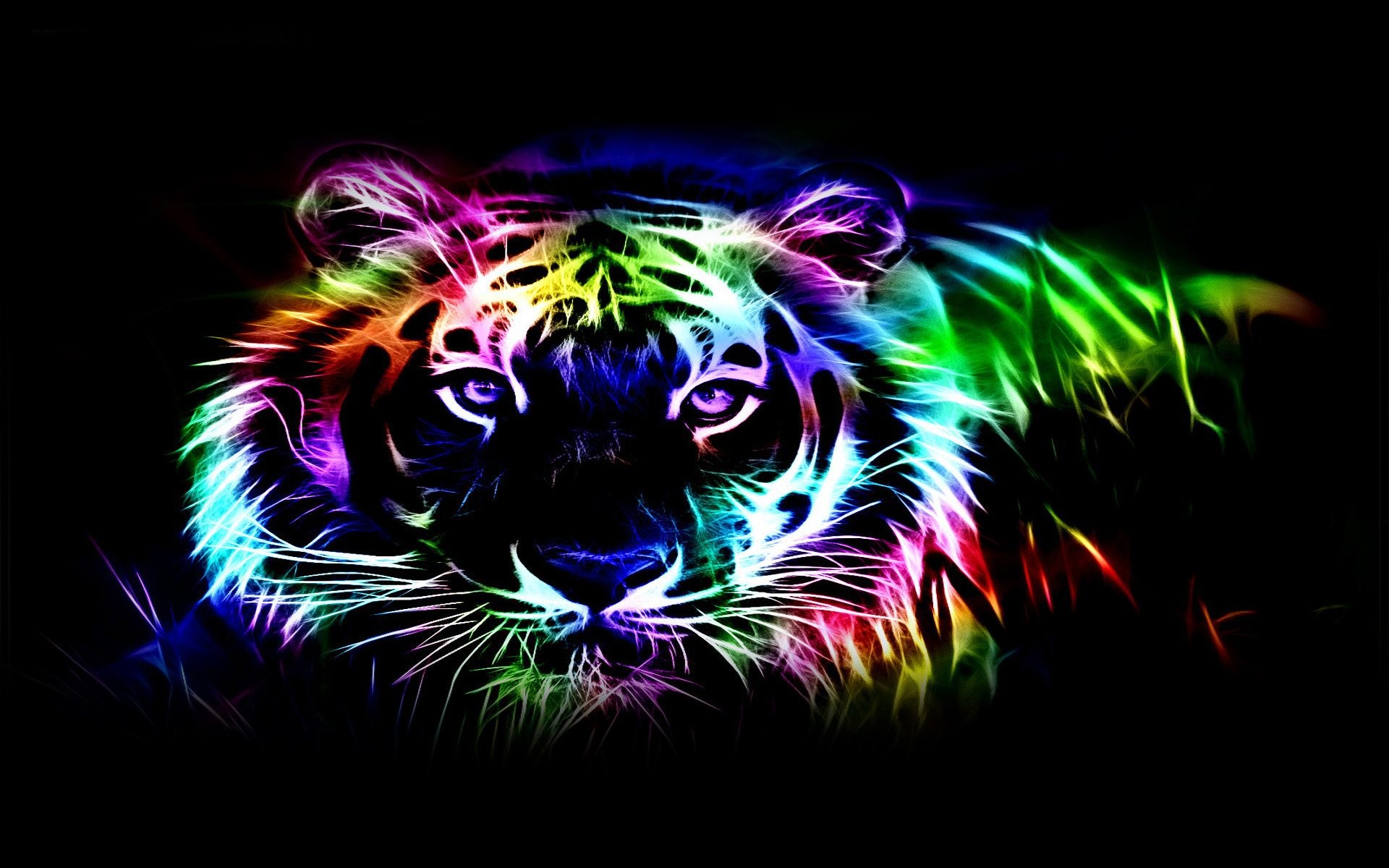 A vibrant neon tiger illustration with glowing multicolored outlines against a black background