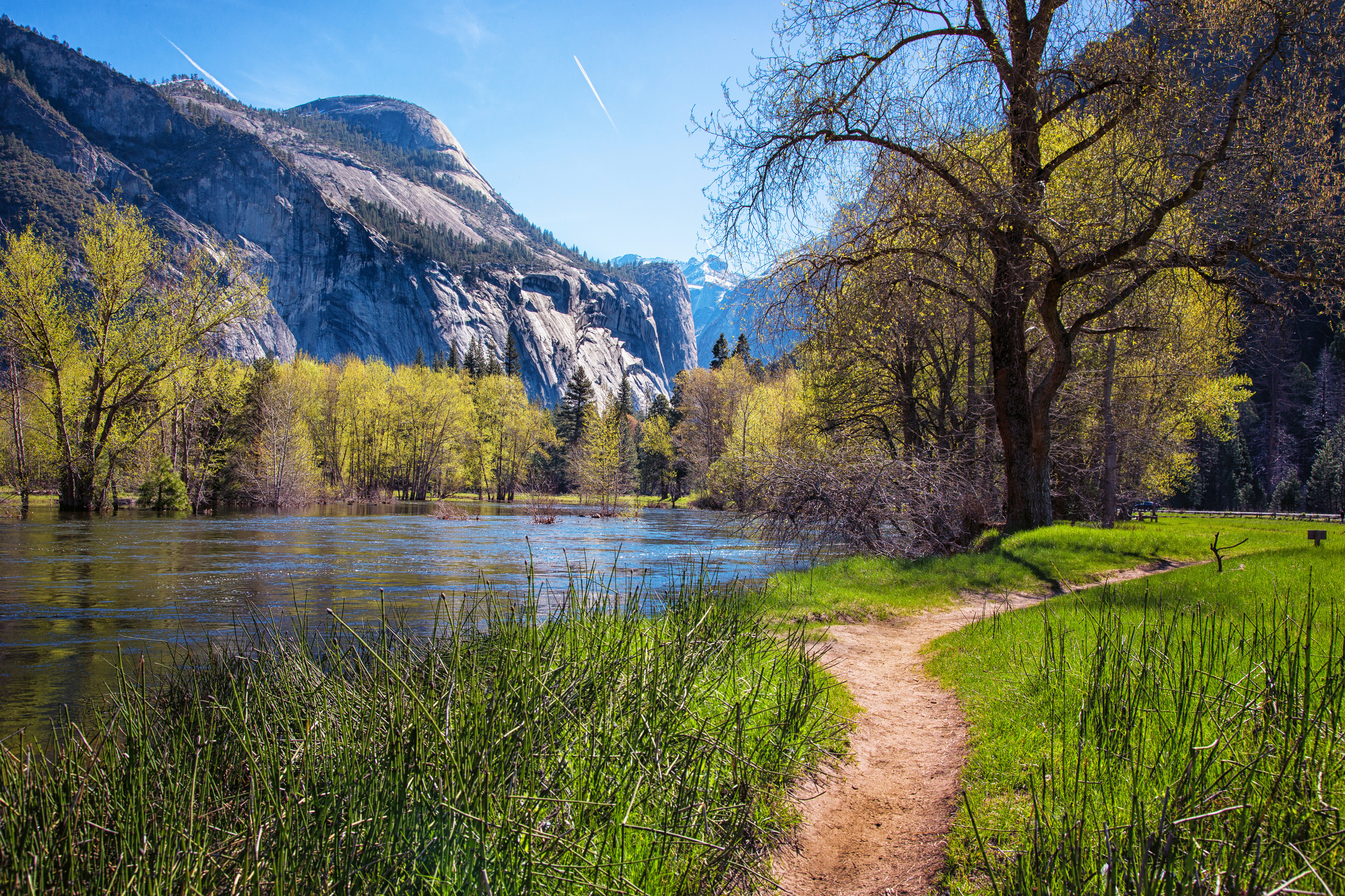 Desktop Wallpaper Yosemite Usa Path Nature Spring