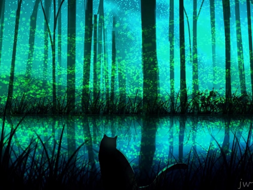 Cat Forest Lake Night Art Background Toppng