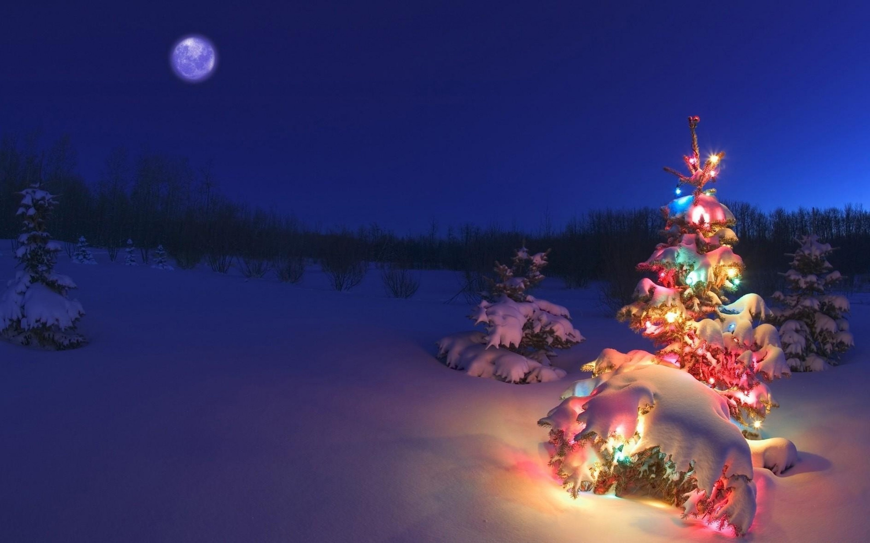 Lightning Christmas Tree In The Snow HD Winter Wallpaper