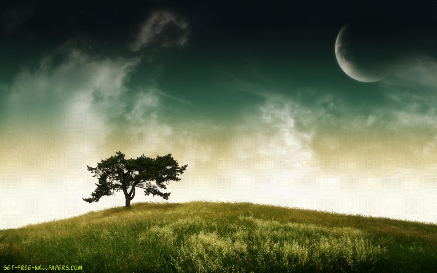 Lonely Tree Wallpaper