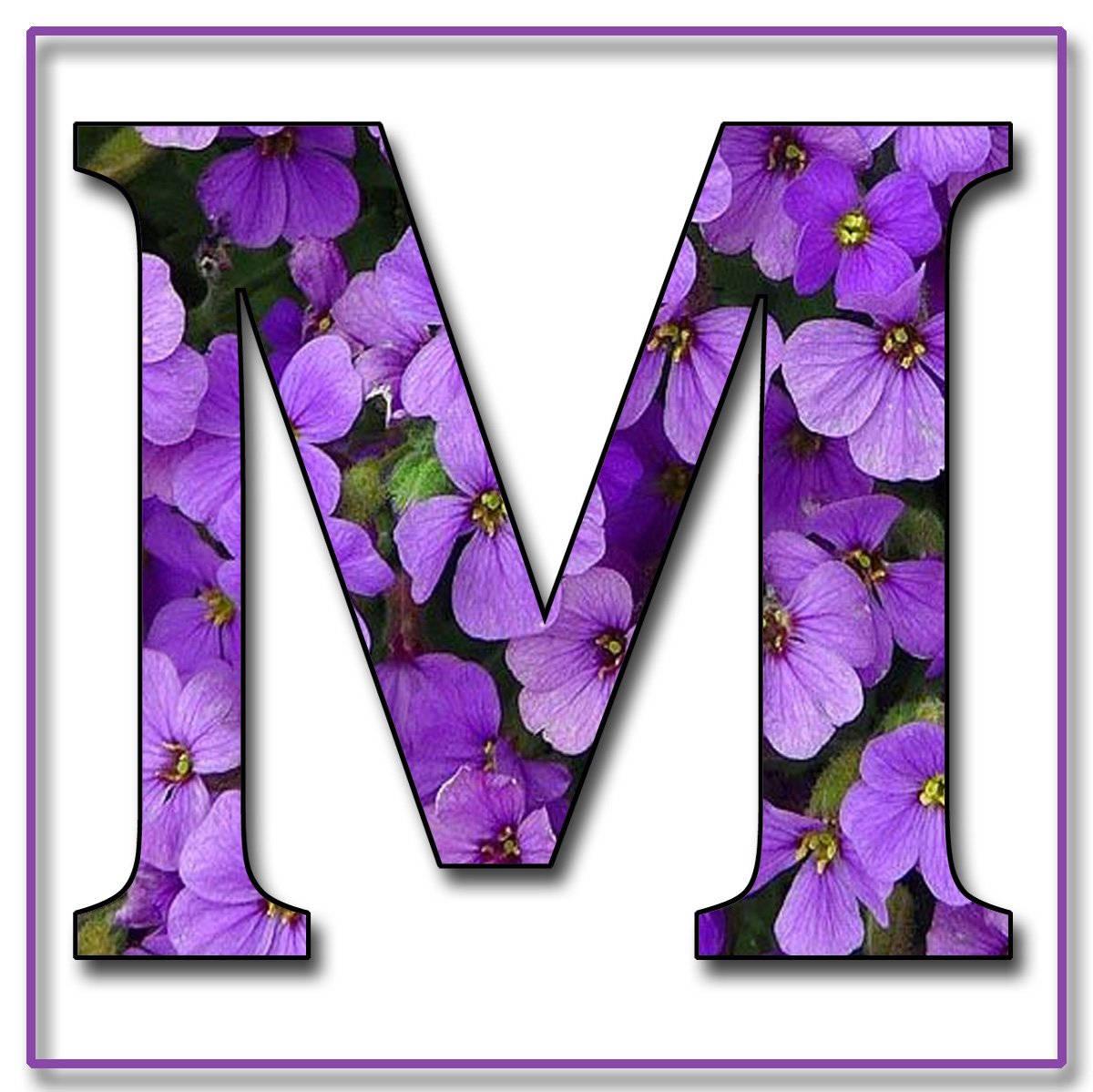 Letter M Purple Flower Wallpaper