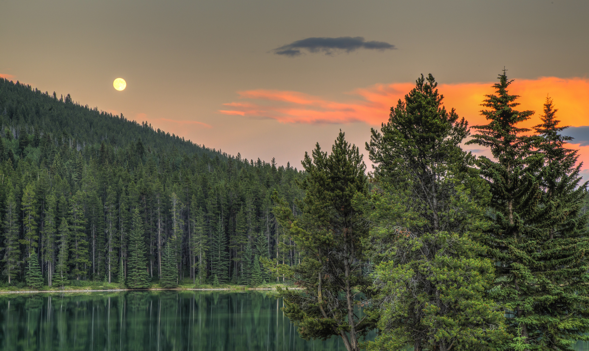 Alberta Canada Lake Forest Sunset Trees Wallpaper Background