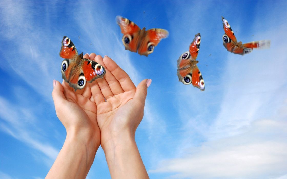 Hands Skyscapes Butterfly Wings Butterflies Wallpaper