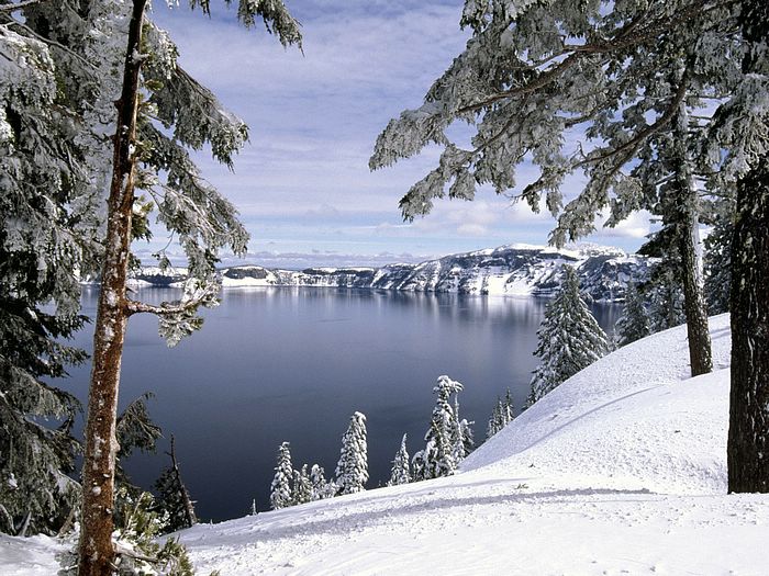 Amazing Winter Snow Photography Gorgeous Scene Wallpaper