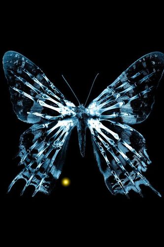 Fringe Butterfly Wallpaper For iPhone 3g 3gs