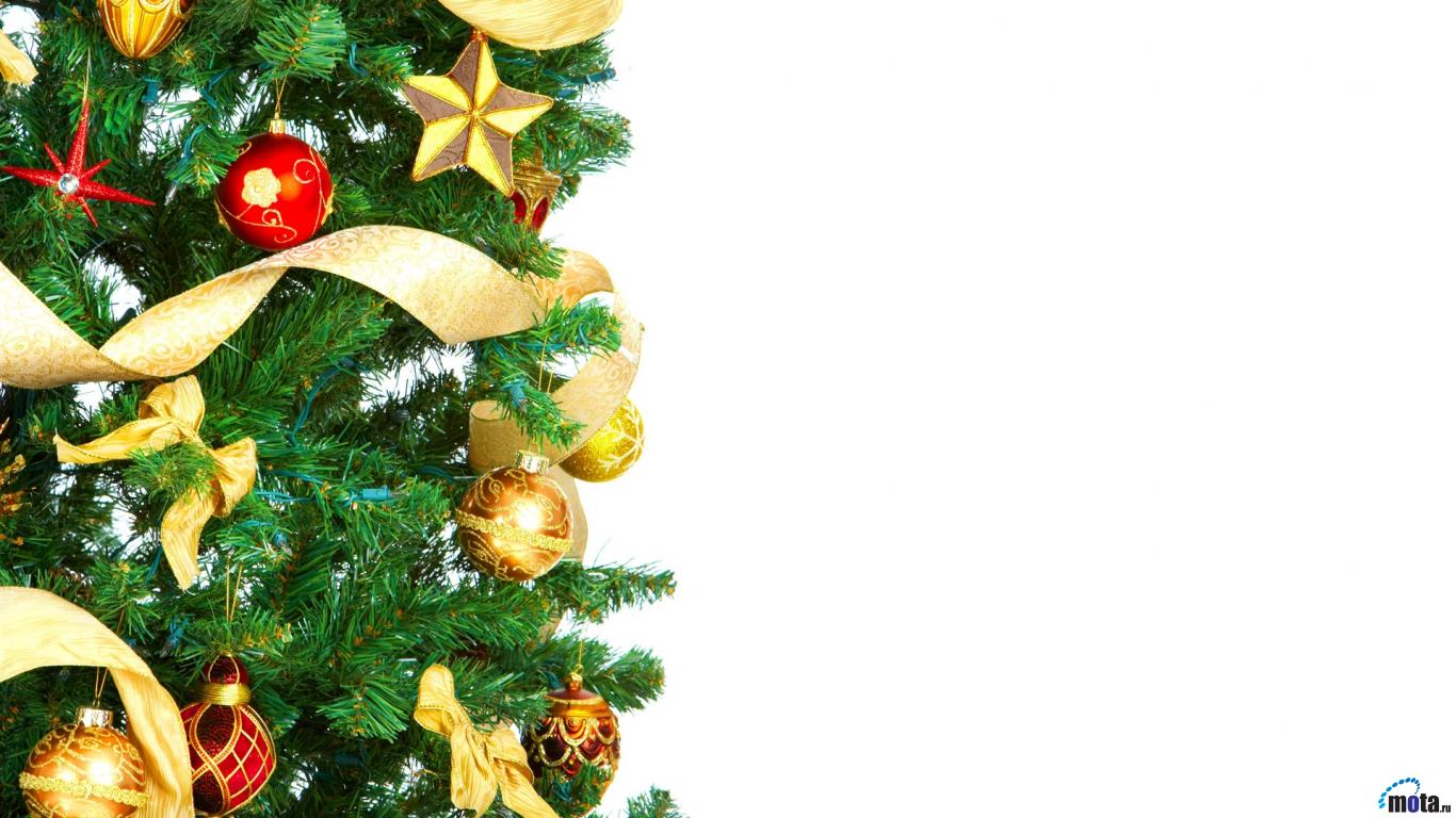 Wallpaper Large Christmas Tree X