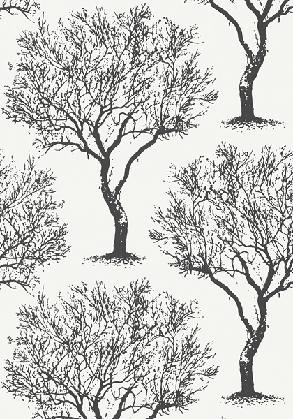 Anna French Seraphina Winfell Forest At6005 Wallpaper Black White