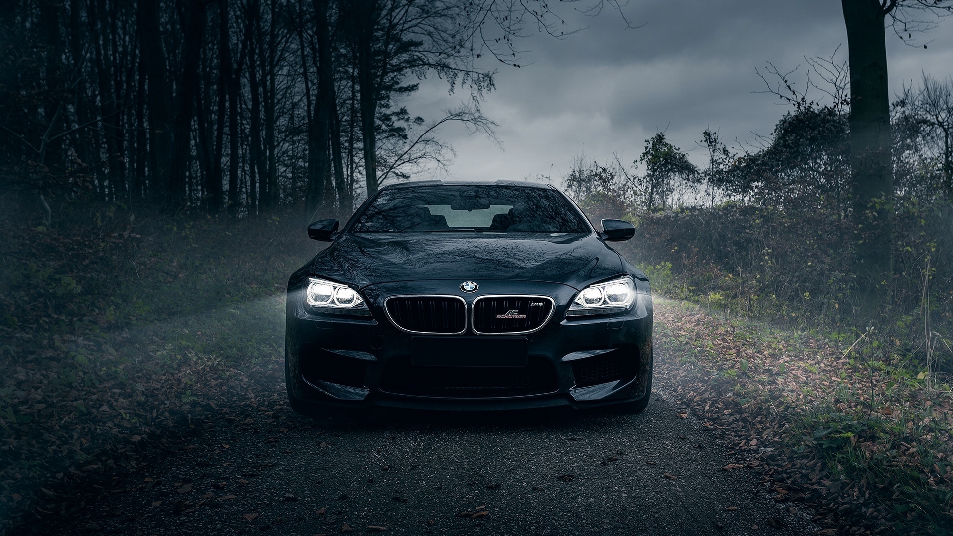 Forest Night Of Bmw M6 Front Light On Wallpaper