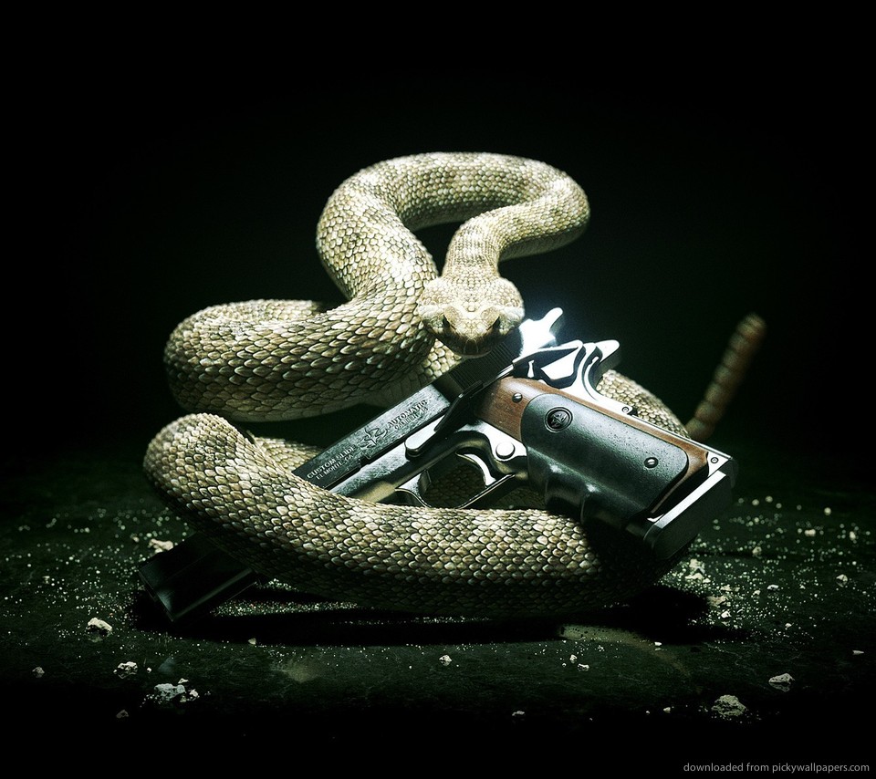 Snake And Gun Wallpaper For Sony Ericsson Xperia Pro