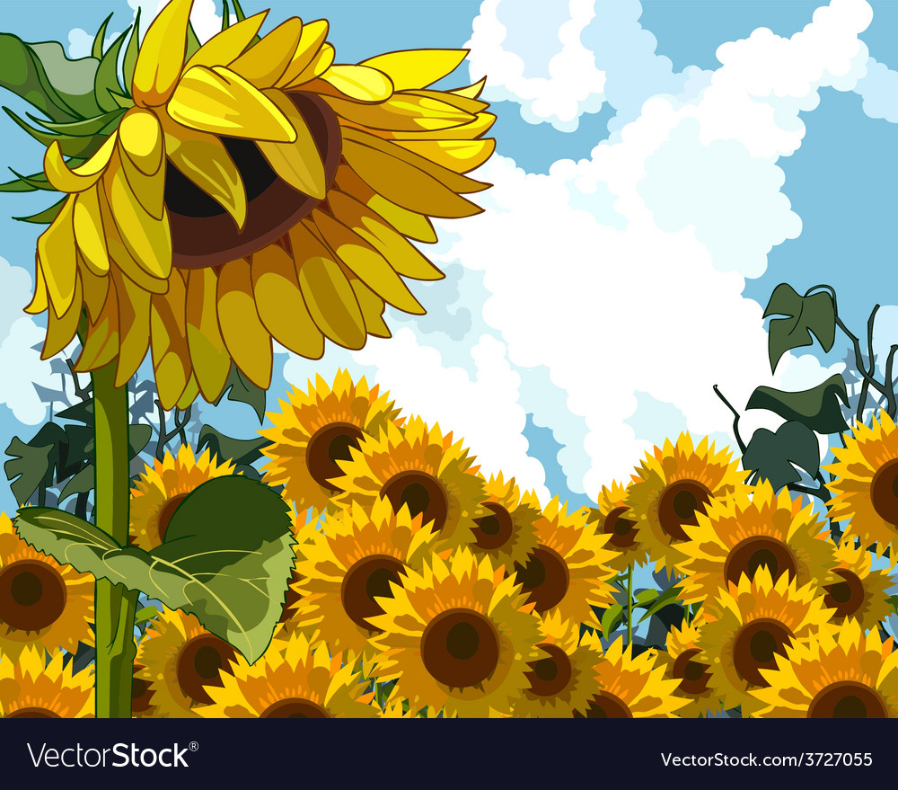 Sunflower On The Background Of Sunflowers Vector Image