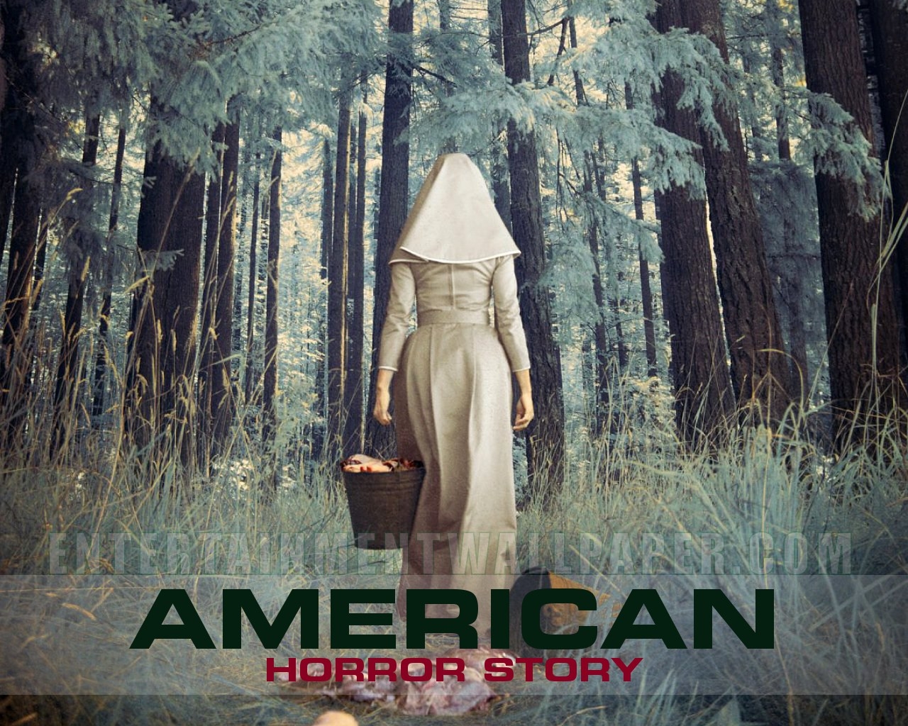 Ahs Asylum American Horror Story Wallpaper