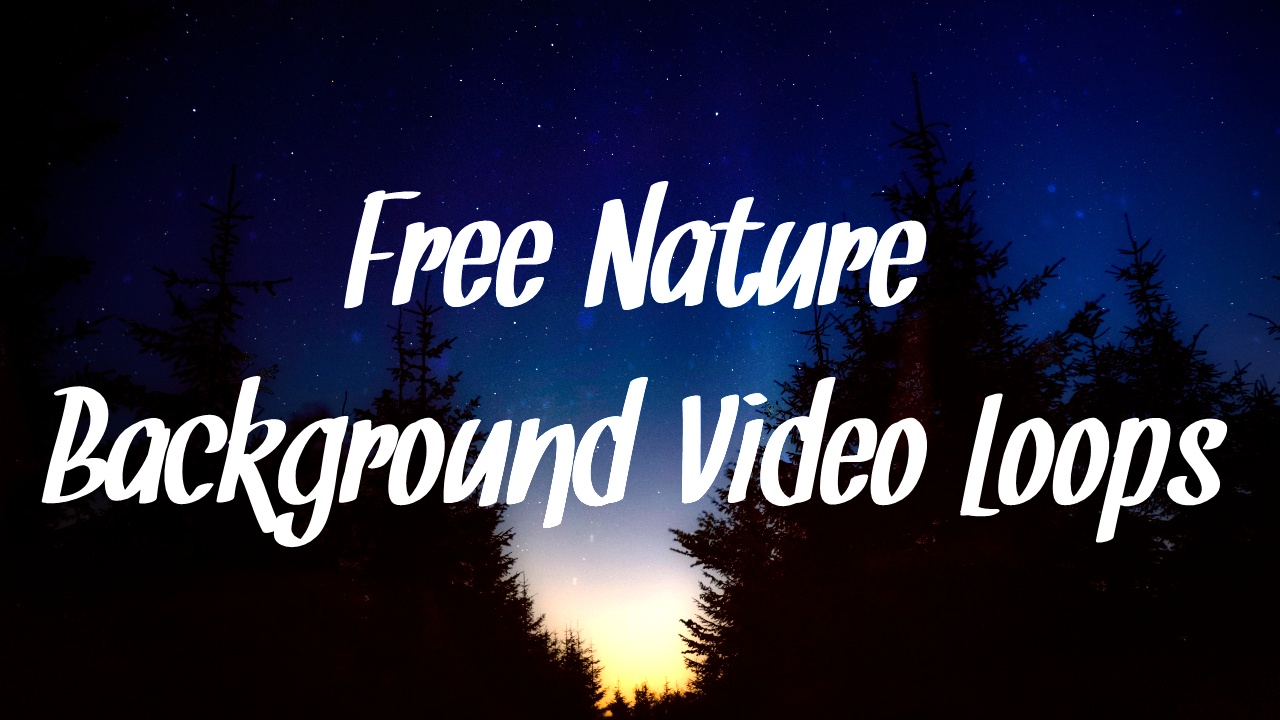 Nature Background Video Loops For Your Projects