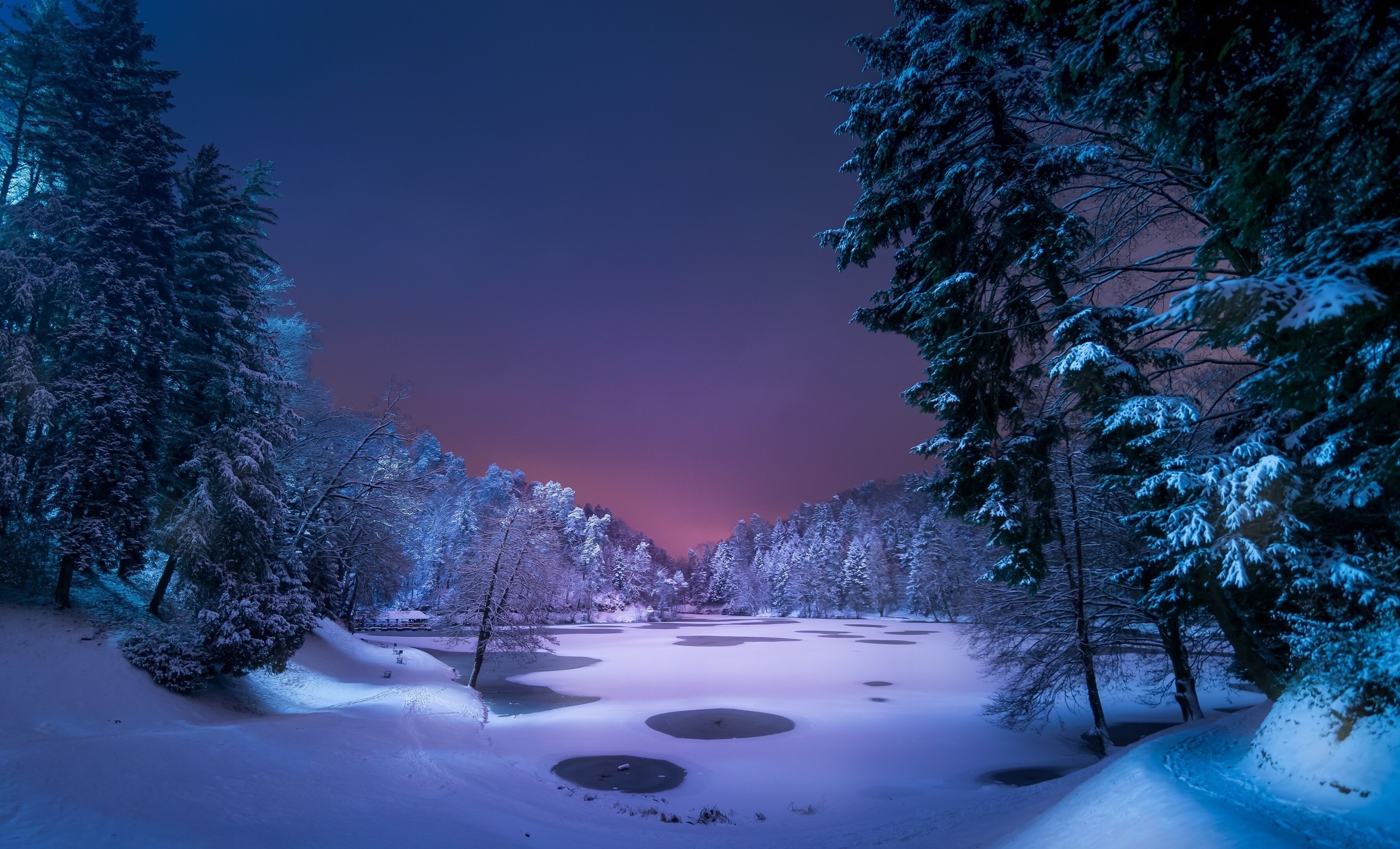A breathtaking winter landscape at night, with snow-covered trees surrounding a frozen lake, illuminated by the soft glow of the moon and stars