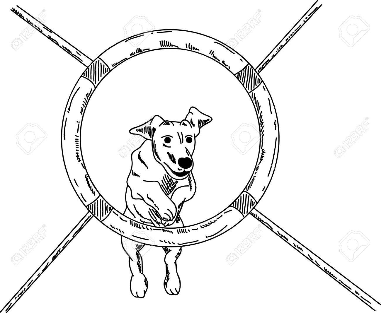 Vector Dog Agility Isolated On Background Royalty