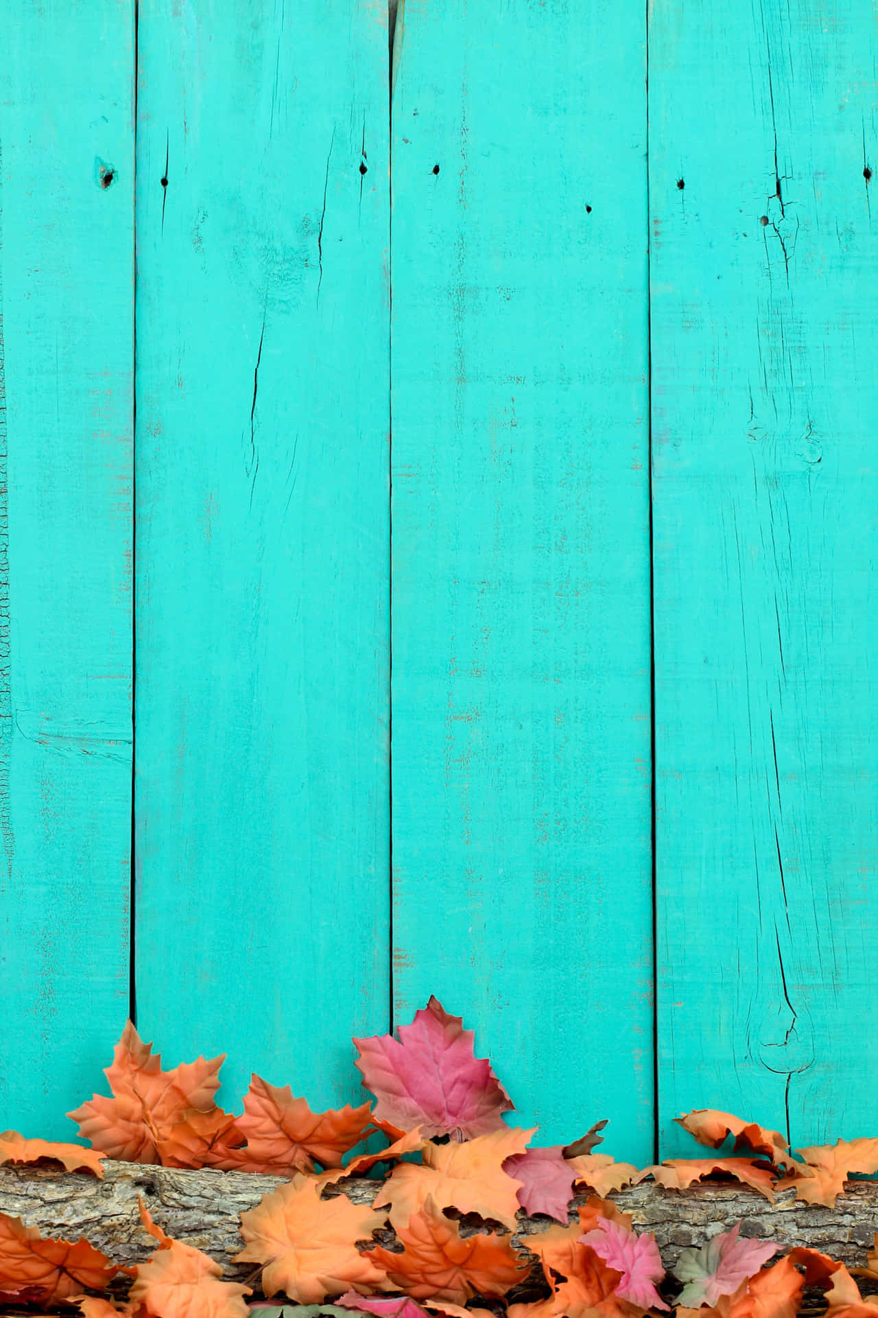 Fall Leaves iPhone Wallpaper