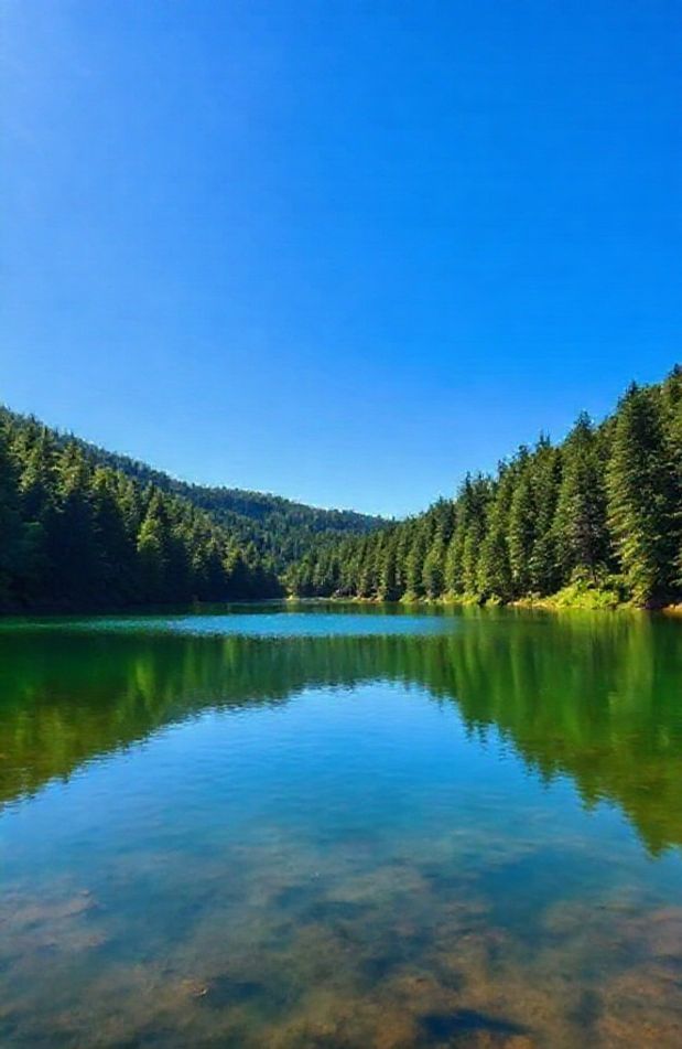 Screensavers Wallpaper Windows