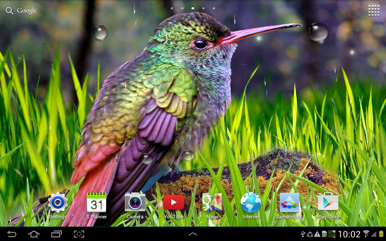 Our Beautiful Animated Screensaver Hummingbirds Live Wallpaper