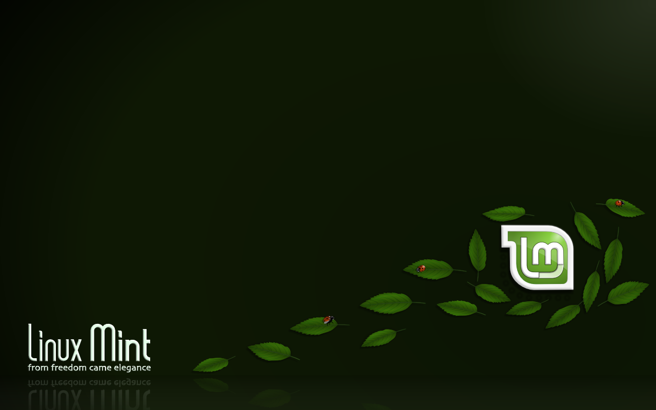 Linux mint grub. Linux Mint рабочий стол. Фоновый рисунок Linux Mint. Живые обои Linux. Линукс минт тема рабочего стола.