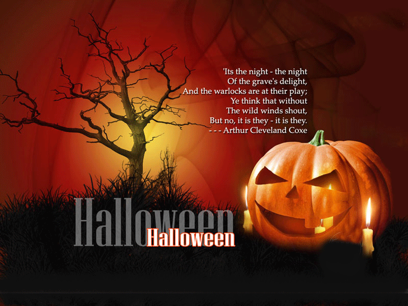 Beautiful Halloween Pumpkin Wallpaper