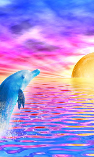 Rainbow Dolphin Live Wallpaper Free Download   ua