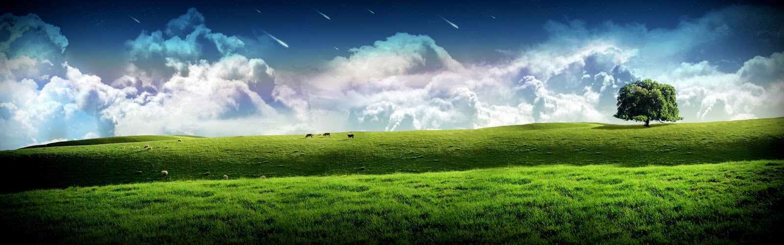 Wallpaper a day dual screen monitor extended countryside windows 1600x500