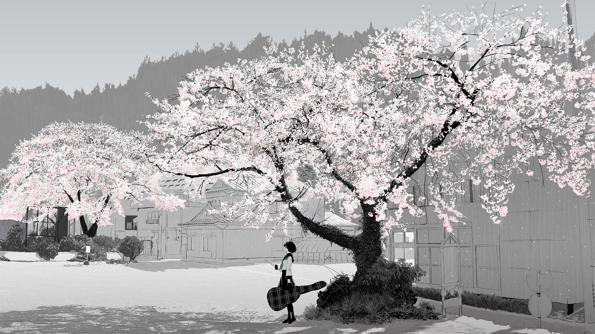 Anime Cherry Blossom Desktop Wallpaper